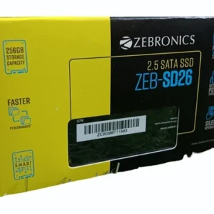 ZEB SSD 256 GB